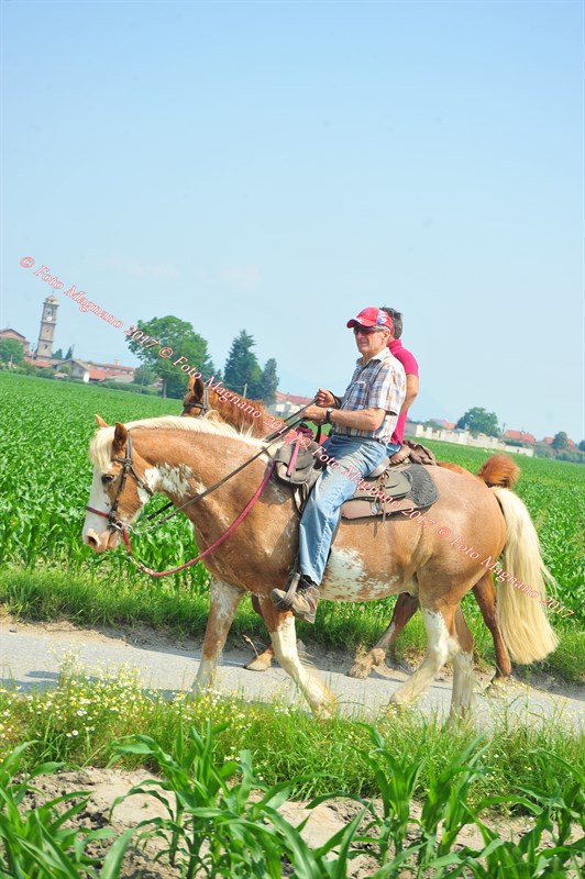 DSC_0859.JPG